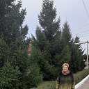���� ����, ��������, 65 ��� - ��������� 19 ������� 2023 � ������ ���� ����������