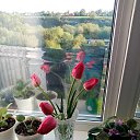 ���� �������, ������ - ��������� 13 ��� 2023 � ������ ������ ��������