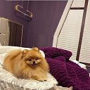 ���� ������, ������������, 56 ��� - ��������� 24 ���� 2023