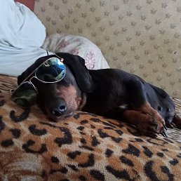 ������, ������, 39 ���