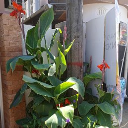 ���� �����, ���������, 23 ���� - ��������� 29 �������� 2023