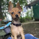 ���� ����, �����������, 48 ��� - ��������� 9 ������� 2023 � ������ ���� ����������