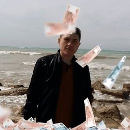 ������, ������, 41 ���