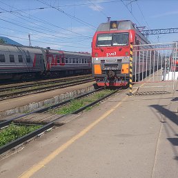 ������, ������, 41 ���