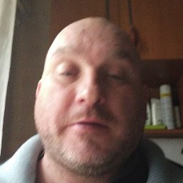 �������, ����, 41 ���