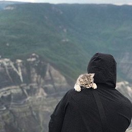 �����, ������, 31 ���