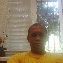 �, �����������, 41 ���