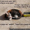 ���� �����, ���������, 46 ��� - ��������� 24 ��� 2023 � ������ ������ ��������