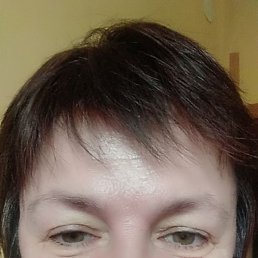 , 52, 