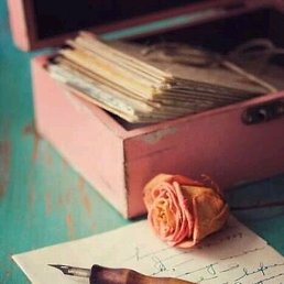 ������, �����, 39 ���