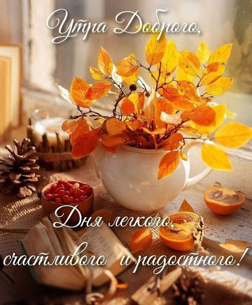 27 сентября. Среда. ДОБРОЕ УТРО! Уютного дня, хорошего настроения!