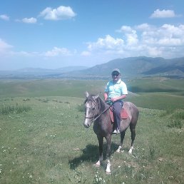 ����, ������, 35 ���