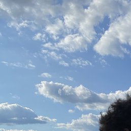 ����, �����-���������, 21 ���