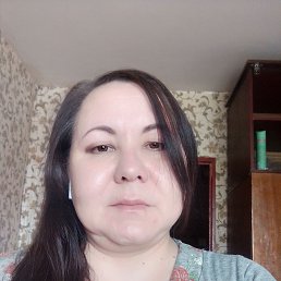 , 41 , 