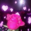 ���� �������, ������ - ��������� 22 ����� 2023 � ������ ���� ����������