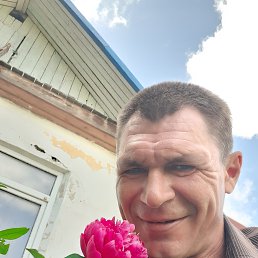 , 49 , -