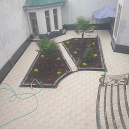 ��������, �����������, 36 ���