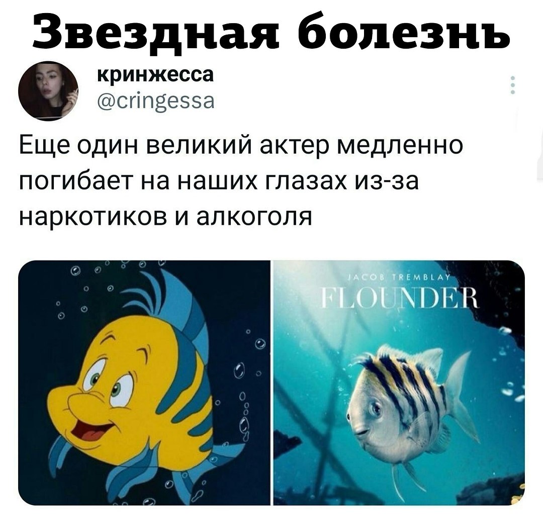 JPG - 30  2023  16:12