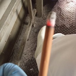 ����������, ������, 41 ���