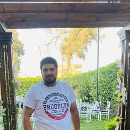 ���� Bebo, �������, 38 ��� - ��������� 25 ��� 2023