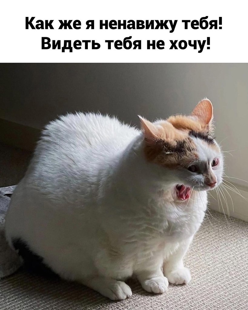   - 26  2023  17:15