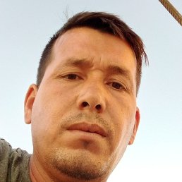 �����, �������, 38 ���