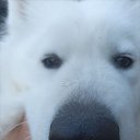 ���� ������, ������, 25 ��� - ��������� 11 �������� 2023 � ������ ���� ����������