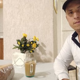 ����, ���������, 37 ���