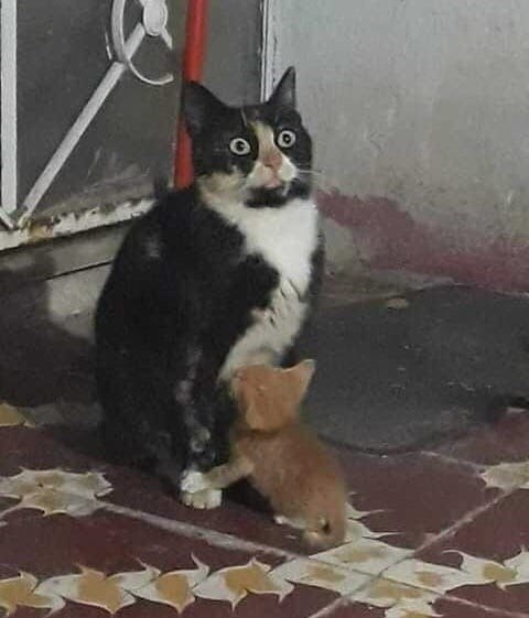,  ... - 3