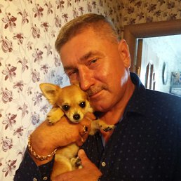 ���� ������, �����������, 62 ���� - ��������� 26 ��� 2023