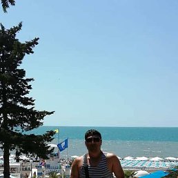 ����, ����, 43 ����