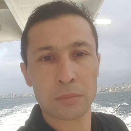 ������, ������, 43 ����