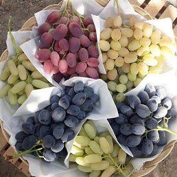 ��������, �������, 37 ���