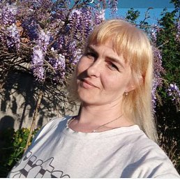 ���������, ���������, 38 ���