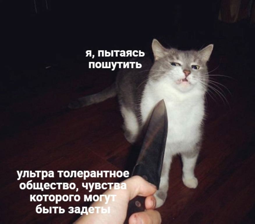    - 29  2023  08:31