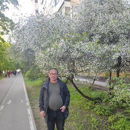 �����, ������, 46 ���