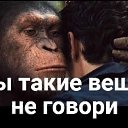 ���� �������, ����-���, 44 ���� - ��������� 27 �������� 2023 � ������ ���� ����������
