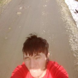 ������, �����-���������, 31 ���