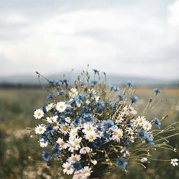 ����, ������, 20 ���