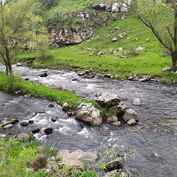 ���� Edik, ������, 49 ��� - ��������� 29 ��� 2023