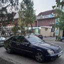 ���� ����, ������, 41 ��� - ��������� 22 �������� 2023 � ������ ���� ����������