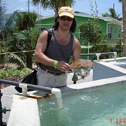 ���������, ������, 62 ����