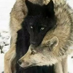 ���� Nadir Yeraz, ����, 39 ��� - ��������� 2 ������� 2023