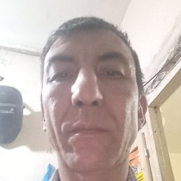 ��������, �������, 49 ���