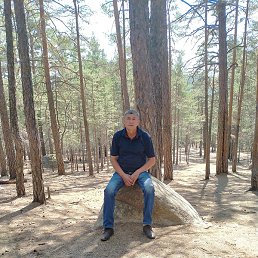 ���������, ����, 61 ���