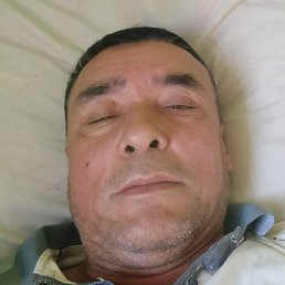 ����, ������, 54 ����