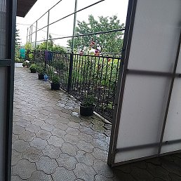 �����, ���������, 36 ���