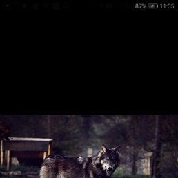 ���� �����, �������, 21 ��� - ��������� 10 �������� 2023