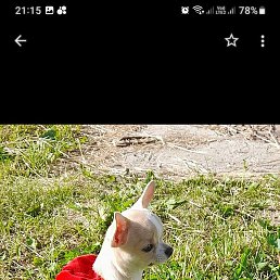 �������, ������, 45 ���