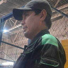 �����, ������, 37 ���